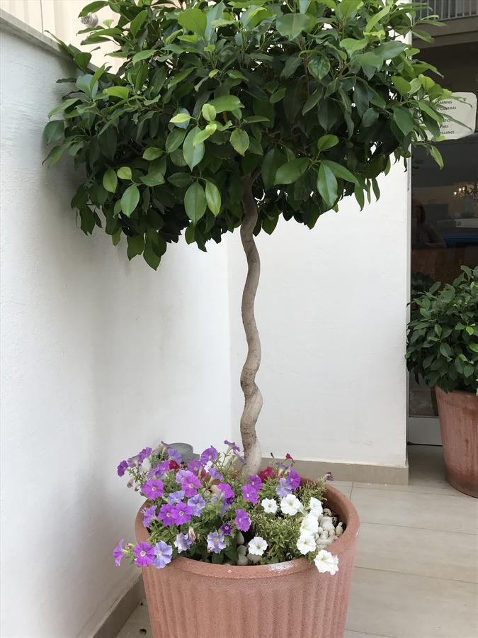 Slimiza Suites Sliema Exterior photo